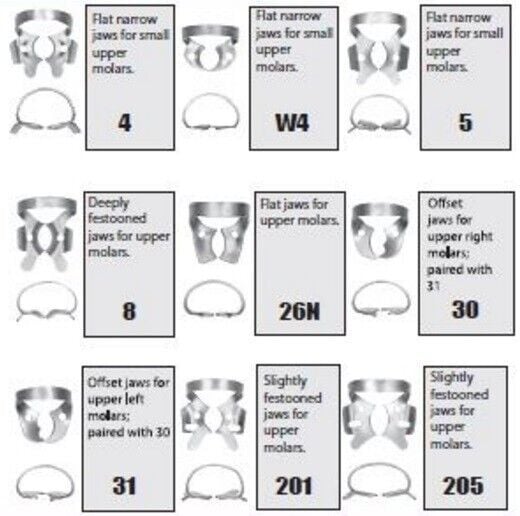 Rubber Dam Clamps, Upper Molars, Prestige Dental Products
